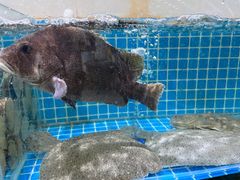 -聚德福海鲜家常菜(刘庄店)