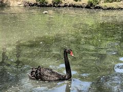 -济南喜来登酒店