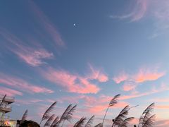 -东极岛景区
