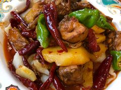 -巴依老爷新疆美食(望京小街店)