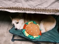 -大理床单厂艺术区