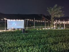 -龙坞茶村