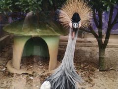 -无锡动物园·太湖欢乐园