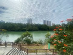 -金鸡岭桥头公园