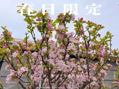 -南通博物苑-崇川人民公园