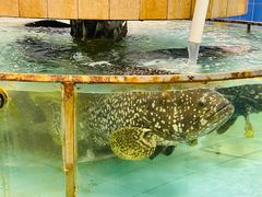 -大天然酒店(军民路店)