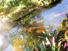 -Chom Cafe and Restaurant