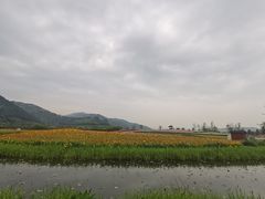 -径山花海