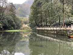 -黔灵山公园
