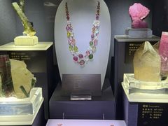 -湖南省地质博物馆