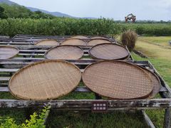 -亚龙湾国际玫瑰谷