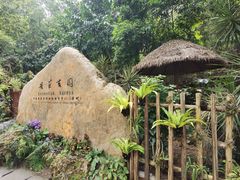-深圳仙湖植物园