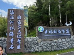 -汤旺河林海奇石景区