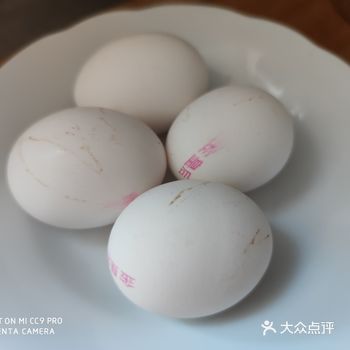 做饭小白也能上手的快手菜，用电饼铛做的蔬菜饼。