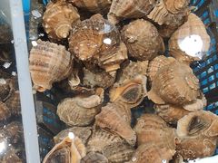 -和源祥·日照菜扛把子(万平口一店)