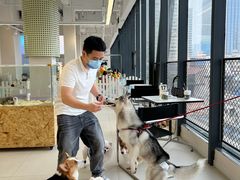 -怪兽屋·羊驼·猫咖·狗咖(俊华广场店)