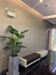 -上海首尔丽格医疗美容医院