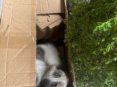 -悠然咖啡(高坪阳春路店)