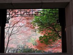 -秋霞圃