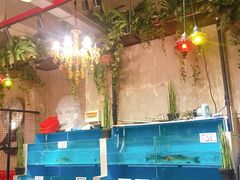 -美庐时尚餐厅(菱角湖店)