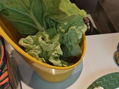 -润园四季椰子鸡火锅(卓越INTOWN店)