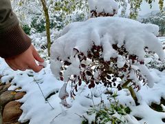 -帐篷客·溪龙茶谷度假酒店