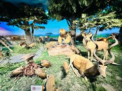 -国家自然博物馆