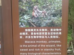 -王顺山国家森林公园
