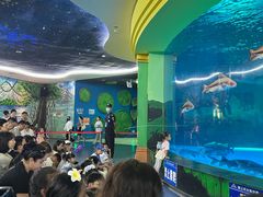 -西双版纳原始森林公园