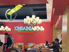 -新概念来凤鱼(璧山店)