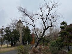 -东平国家森林公园