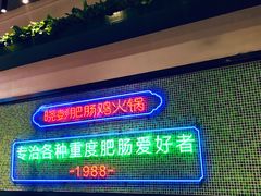 门面-晓彭肥肠鸡·泡椒鸡火锅(水木天地店)