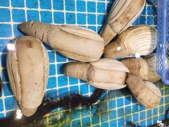 -三亚火车头万人海鲜广场