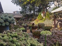 -山菌美食苑(振兴路店)