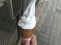 -富豪雪糕车流动点(尖沙咀店)