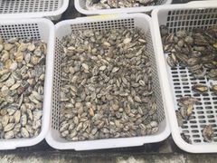 -郑庄脂渣海鲜楼(九水路店)