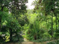 -菊花台公园