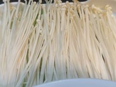 真正的金针菇-锅说大脸毛肚重庆老火锅(佐阾店)
