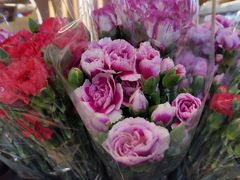 -茶马花街(城西银泰城店)