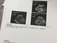 -北京赛佳动物医院