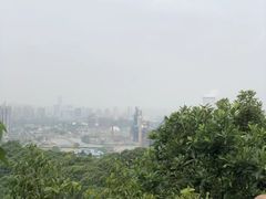 -杭州半山国家森林公园