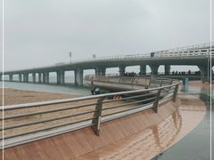 -演武大桥观景平台