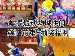 -美罗城