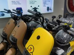 -九号电动车(安定门内大街店)