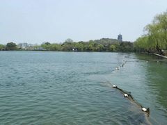 -西湖天地
