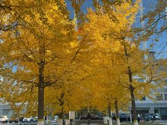 -锦江富园大酒店-游泳馆