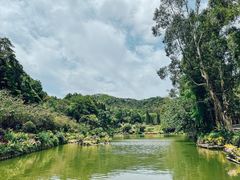 -深圳仙湖植物园
