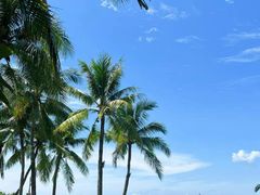 -三亚海棠湾喜来登度假酒店