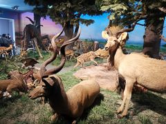 -国家自然博物馆