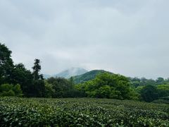 -西湖风景区十里琅珰-五云山